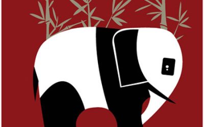 Anti-poaching story goes viral in China