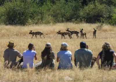 Walking the Wilds of South Africa, Zambia & Zimbabwe