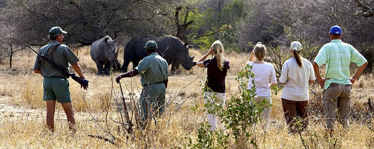 Rhino Plains Camp wildlife walk and sighting on Call of Africa Safaris trip